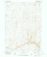 Download a high-resolution, GPS-compatible USGS topo map for Rufino Butte, OR (1975 edition)