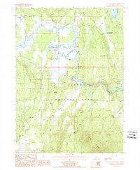 Download a high-resolution, GPS-compatible USGS topo map for SOcholis Canyon, OR (1988 edition)