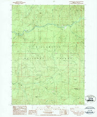 Download a high-resolution, GPS-compatible USGS topo map for Saddleblanket Mountain, OR (1986 edition)