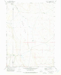 Download a high-resolution, GPS-compatible USGS topo map for Sage Hen Flats, OR (1975 edition)