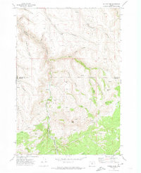 Download a high-resolution, GPS-compatible USGS topo map for Salmon Fork, OR (1973 edition)