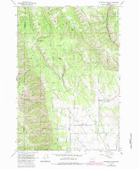 Download a high-resolution, GPS-compatible USGS topo map for Sanderson Spring, OR (1984 edition)