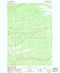 Download a high-resolution, GPS-compatible USGS topo map for Sawmill Butte, OR (1994 edition)