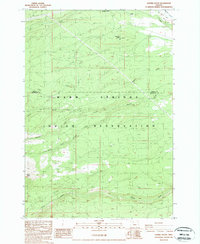 Download a high-resolution, GPS-compatible USGS topo map for Sawmill Butte, OR (1988 edition)