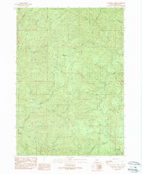 Download a high-resolution, GPS-compatible USGS topo map for Scaredman Creek, OR (1990 edition)