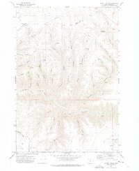 Download a high-resolution, GPS-compatible USGS topo map for Schott Canyon, OR (1973 edition)