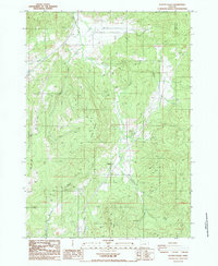 Download a high-resolution, GPS-compatible USGS topo map for Scotts Valley, OR (1987 edition)