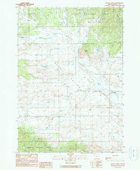 Download a high-resolution, GPS-compatible USGS topo map for Scotty Creek, OR (1990 edition)