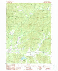 Download a high-resolution, GPS-compatible USGS topo map for Selma, OR (1989 edition)