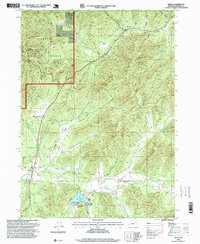 Download a high-resolution, GPS-compatible USGS topo map for Selma, OR (1999 edition)