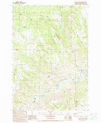 Download a high-resolution, GPS-compatible USGS topo map for Service Creek, OR (1988 edition)