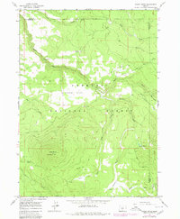 Download a high-resolution, GPS-compatible USGS topo map for Shake Butte, OR (1980 edition)