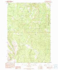 Download a high-resolution, GPS-compatible USGS topo map for Sheep Ridge, OR (1990 edition)
