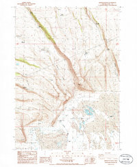 Download a high-resolution, GPS-compatible USGS topo map for Sheeplick Draw, OR (1986 edition)