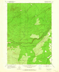 Download a high-resolution, GPS-compatible USGS topo map for Shevlin Park, OR (1964 edition)