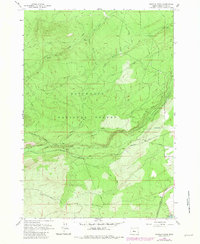 Download a high-resolution, GPS-compatible USGS topo map for Shevlin Park, OR (1981 edition)