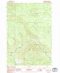 Download a high-resolution, GPS-compatible USGS topo map for Shitike Butte, OR (1994 edition)