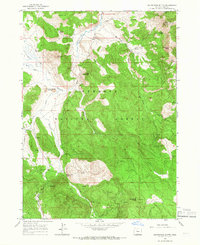 Download a high-resolution, GPS-compatible USGS topo map for Shoestring Butte, OR (1966 edition)