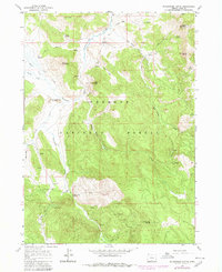 Download a high-resolution, GPS-compatible USGS topo map for Shoestring Butte, OR (1980 edition)