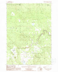 Download a high-resolution, GPS-compatible USGS topo map for Silver Dollar Flat, OR (1988 edition)