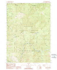 Download a high-resolution, GPS-compatible USGS topo map for Silver Peak, OR (1989 edition)
