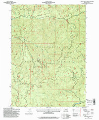 Download a high-resolution, GPS-compatible USGS topo map for Sinker Mountain, OR (1998 edition)