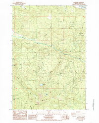 Download a high-resolution, GPS-compatible USGS topo map for Snow Peak, OR (1985 edition)