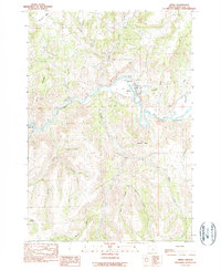 Download a high-resolution, GPS-compatible USGS topo map for Spray, OR (1990 edition)