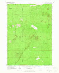 Download a high-resolution, GPS-compatible USGS topo map for Spring Butte, OR (1965 edition)