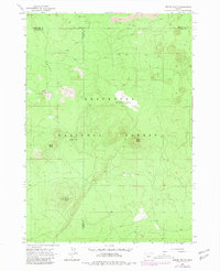 Download a high-resolution, GPS-compatible USGS topo map for Spring Butte, OR (1981 edition)