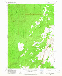 Download a high-resolution, GPS-compatible USGS topo map for Squaw Back Ridge, OR (1963 edition)