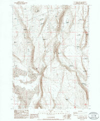 Download a high-resolution, GPS-compatible USGS topo map for St Patrick Mtn, OR (1986 edition)