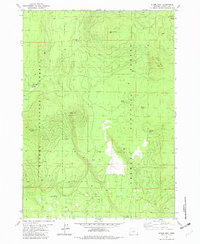 preview thumbnail of historical topo map of Klamath County, OR in 1981