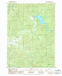 Download a high-resolution, GPS-compatible USGS topo map for Starvout Creek, OR (1987 edition)