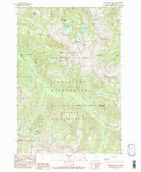 Download a high-resolution, GPS-compatible USGS topo map for Steamboat Lake, OR (1990 edition)