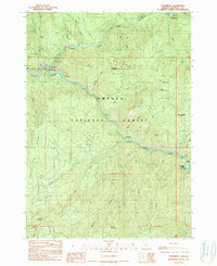 Download a high-resolution, GPS-compatible USGS topo map for Steamboat, OR (1990 edition)