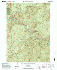 Download a high-resolution, GPS-compatible USGS topo map for Steamboat, OR (2000 edition)