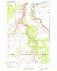 Download a high-resolution, GPS-compatible USGS topo map for Steelhead Falls, OR (1976 edition)