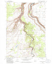 Download a high-resolution, GPS-compatible USGS topo map for Steelhead Falls, OR (1986 edition)