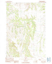 Download a high-resolution, GPS-compatible USGS topo map for Steet Mtn, OR (1990 edition)