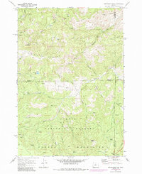 Download a high-resolution, GPS-compatible USGS topo map for Stephenson Mtn, OR (1985 edition)