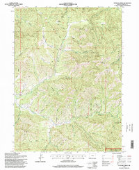 Download a high-resolution, GPS-compatible USGS topo map for Sterling Creek, OR (1998 edition)