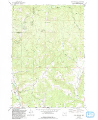 Download a high-resolution, GPS-compatible USGS topo map for Stony Mountain, OR (1992 edition)