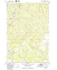 Download a high-resolution, GPS-compatible USGS topo map for Stony Mountain, OR (1979 edition)