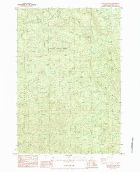 Download a high-resolution, GPS-compatible USGS topo map for Stott Mountain, OR (1984 edition)