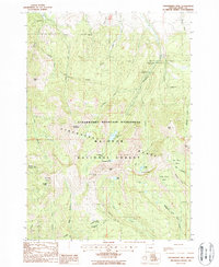 Download a high-resolution, GPS-compatible USGS topo map for Strawberry Mtn, OR (1988 edition)