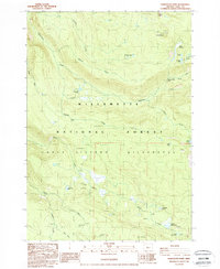 Download a high-resolution, GPS-compatible USGS topo map for Substitute Point, OR (1988 edition)