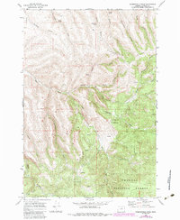 Download a high-resolution, GPS-compatible USGS topo map for Summerfield Ridge, OR (1984 edition)