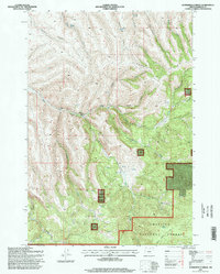 Download a high-resolution, GPS-compatible USGS topo map for Summerfield Ridge, OR (1998 edition)