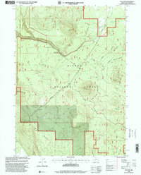 Download a high-resolution, GPS-compatible USGS topo map for Sun Pass, OR (2000 edition)